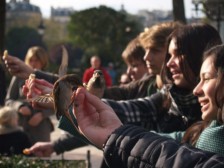 kŕmenie vrabcov pred Notre Dame